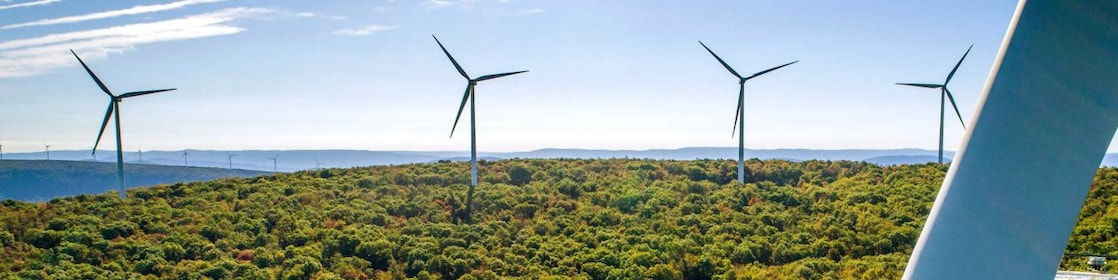 prostrana površina zelenih dreves kjer so v daljavi vetrne elektrarne