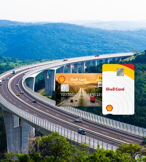 Fuhrparkmanager mit einer Schere schneidet einen Bonsai zurecht.