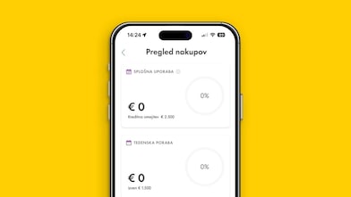Zaslon aplikacije Shell Fleet App s pregledom skupne porabe in razpoložljivih kreditnih omejitev