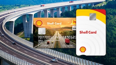 Fuhrparkmanager mit einer Schere schneidet einen Bonsai zurecht.